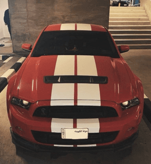 Mustang model 2014 for sale