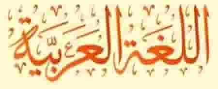 An experienced Arabic language teacher