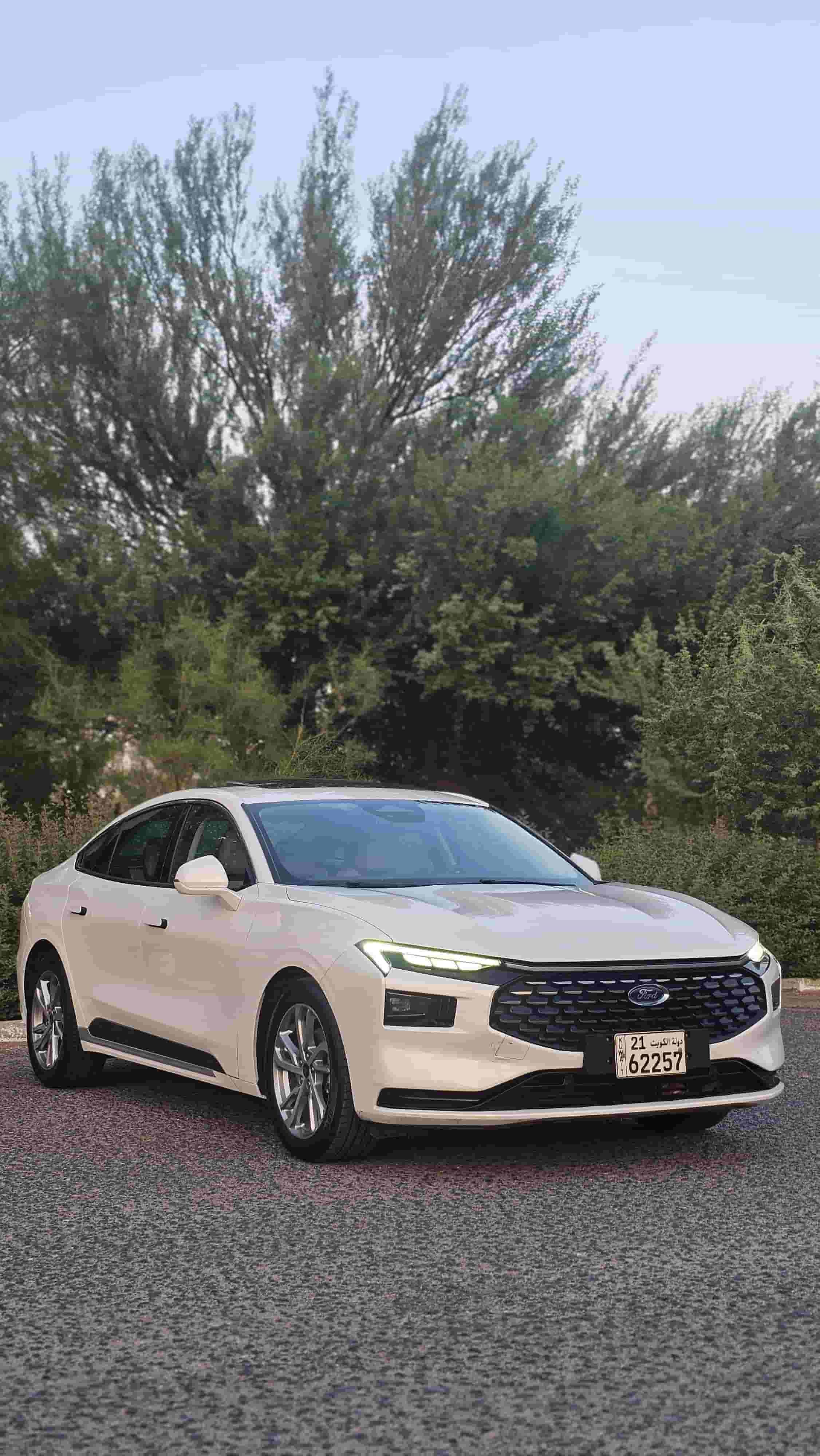 تورس 2023 صبغ وكالة