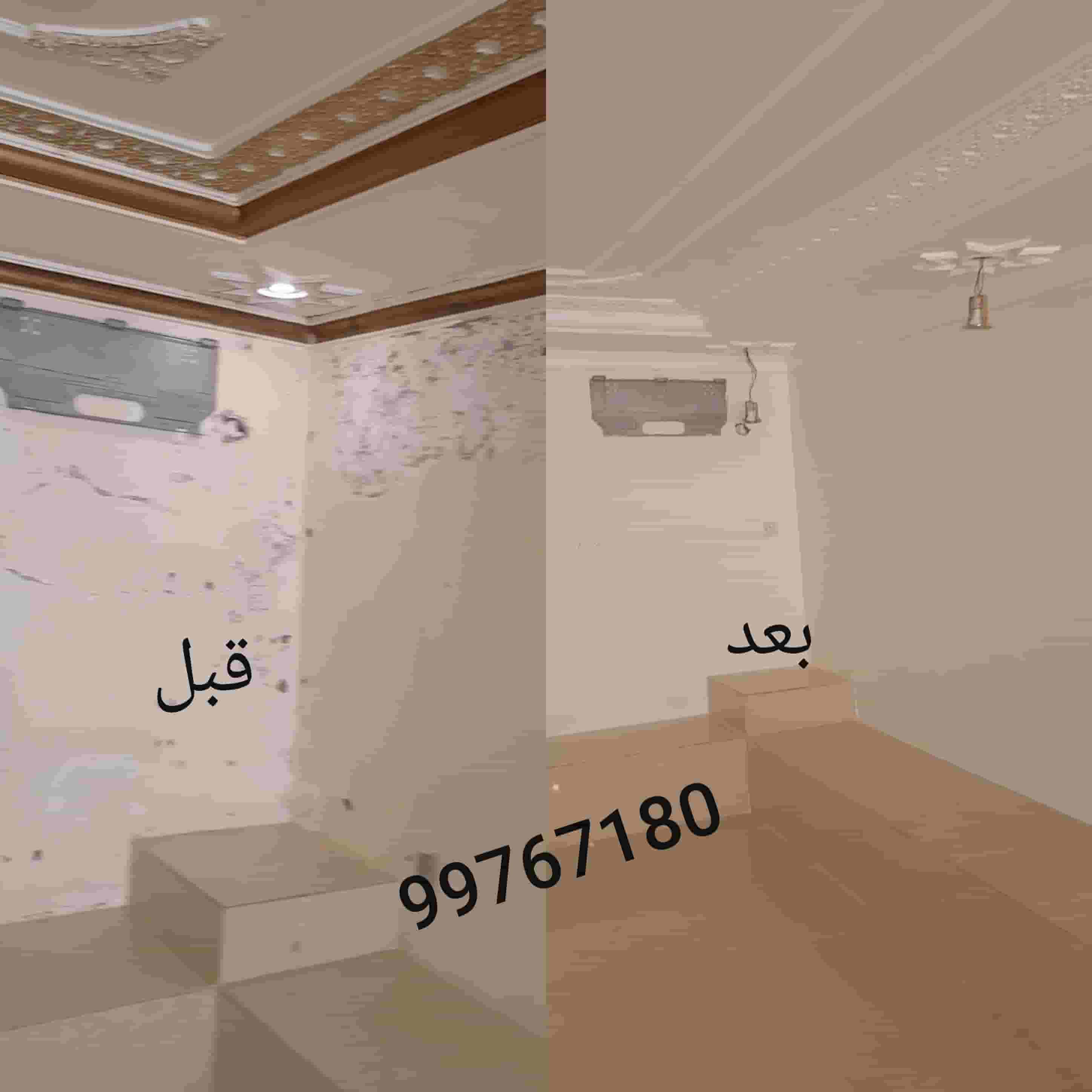 جميع انوع الاصباغ 