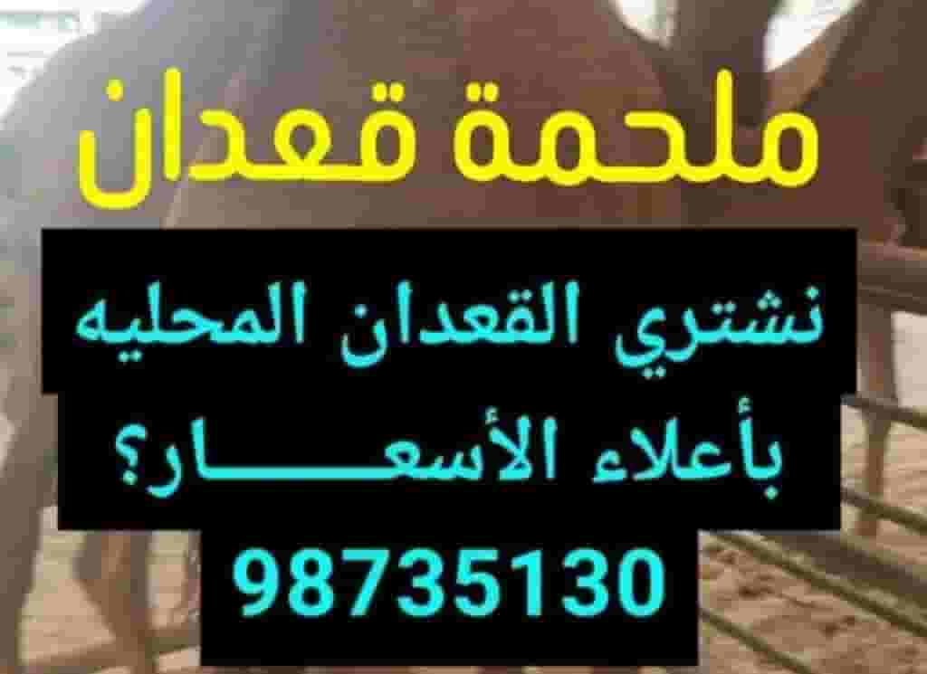 للبيع والشــــــــــراء القعدان المحليه 