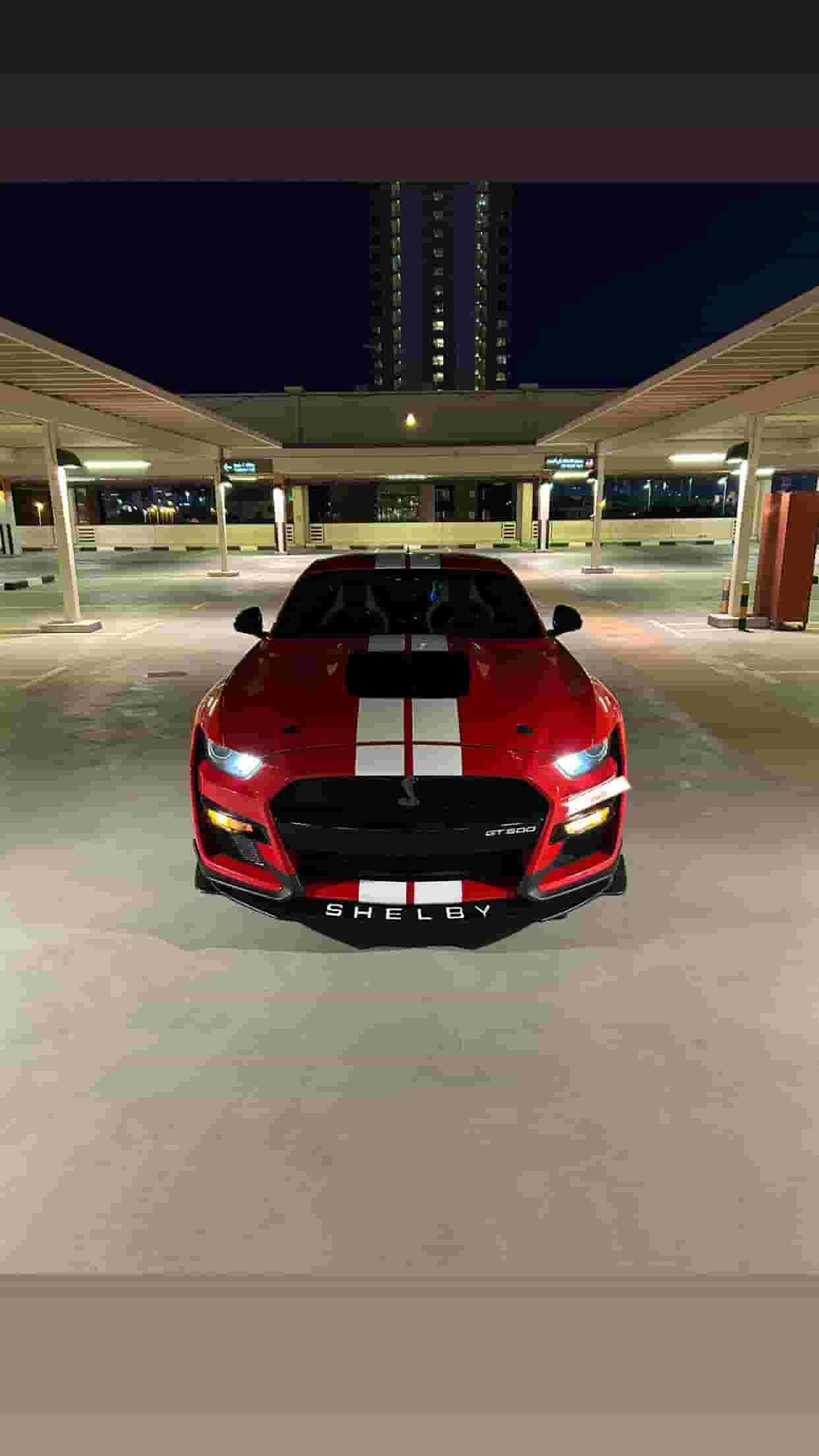 للبيع موستانج شلبي 2020 للبيع موستانج شلبي 2020