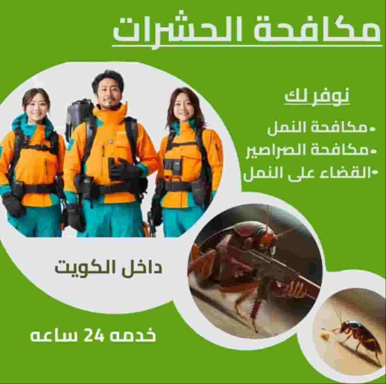 مكافحة الحشرات