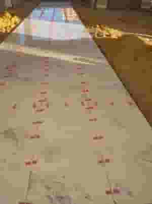 تركيب سيراميك ورخام شركة الركن الهادي