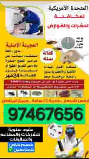 مكافحة حشرات الكويت