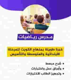 Math teacher for all school levels