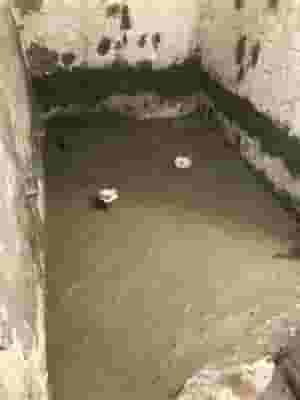 عازل حمام او مطبخ او اسطح