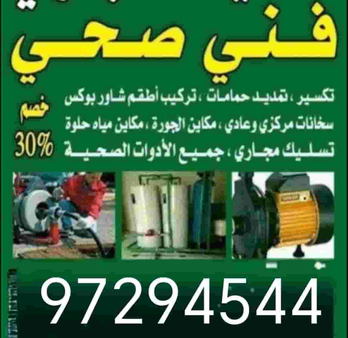 Plumber sanitary technician