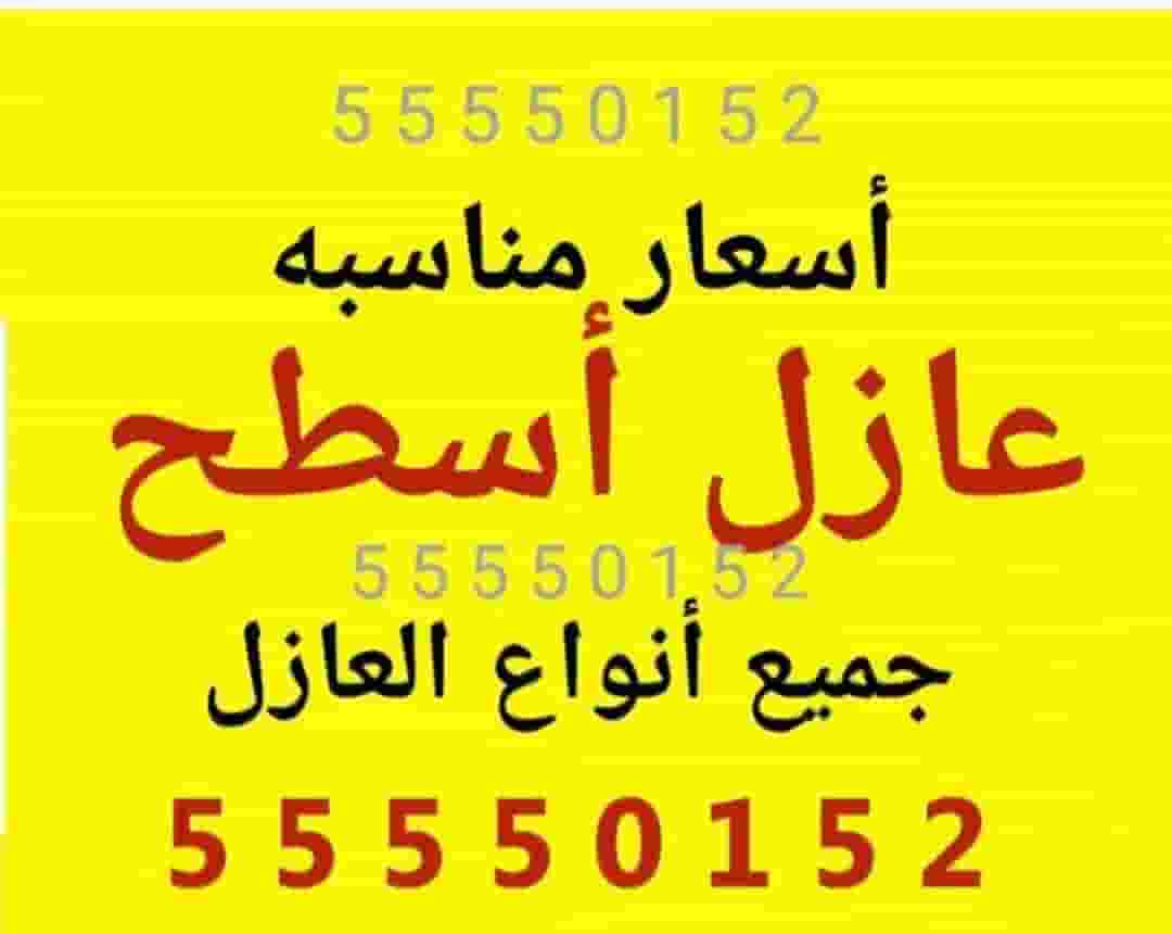 Roof insulation to prevent water from purring