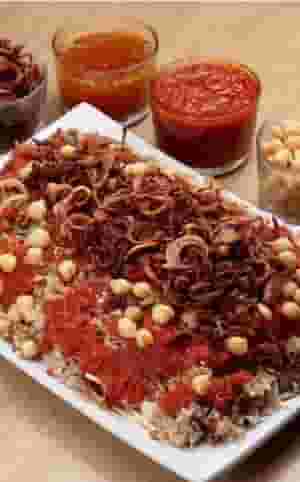 A partner financier is required for Koshari VIP restaurant