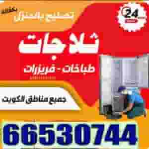 Refrigerator freezer repair