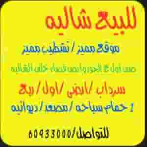 For sale a first-row chalet in the third special phase behind Khairan Mall