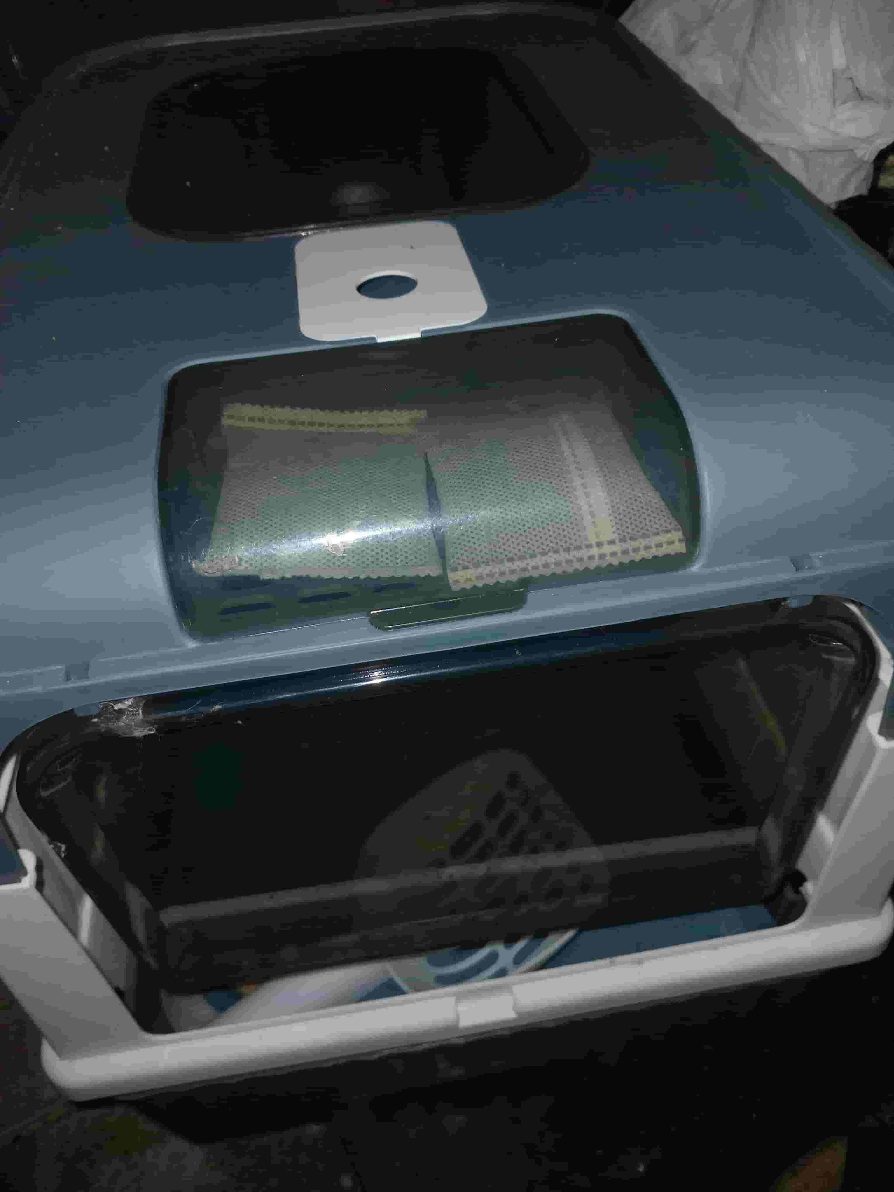 للبيع اكسسوارات للقطط