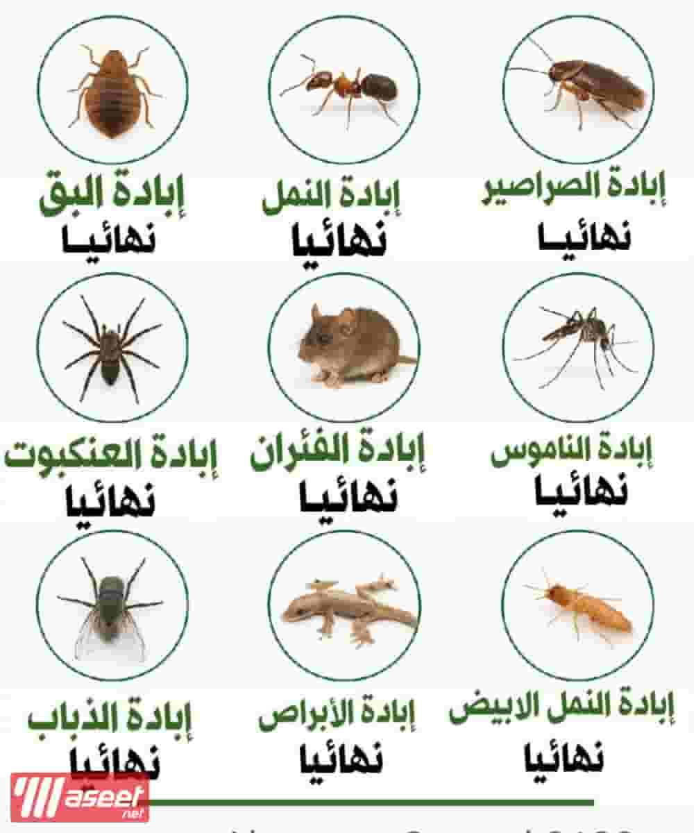 الأماني لمكافحة الحشرات والقوارض