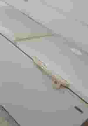 Jumbo freezer for sale