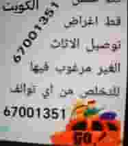 House cleaning service