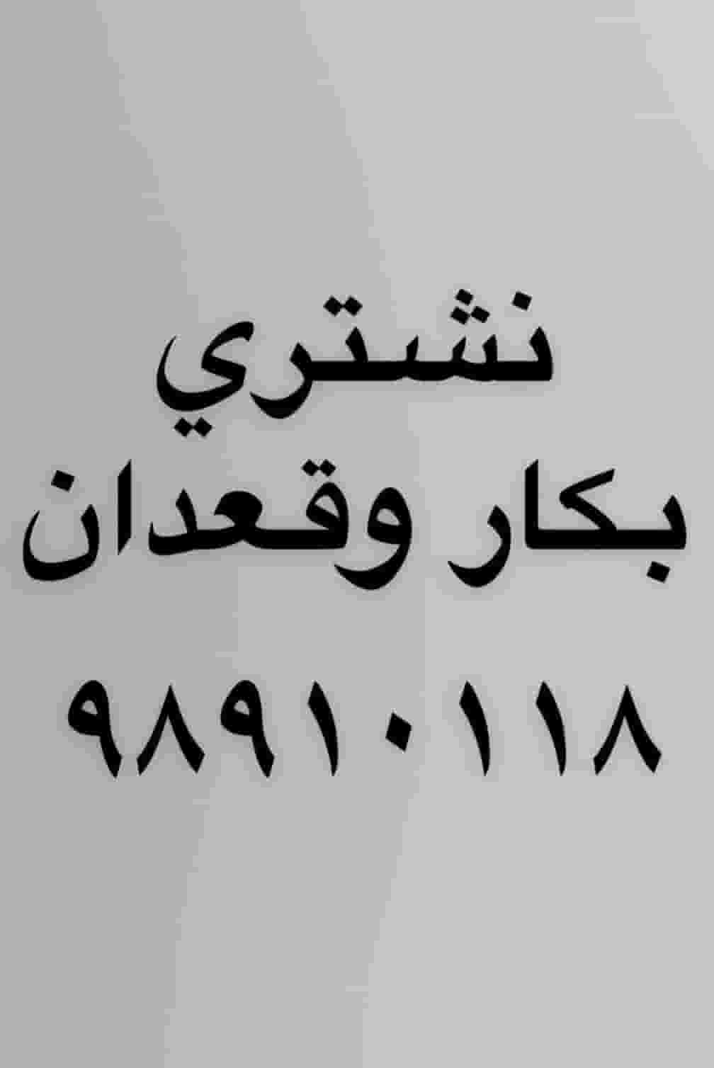 نشتري قعدان وبكار