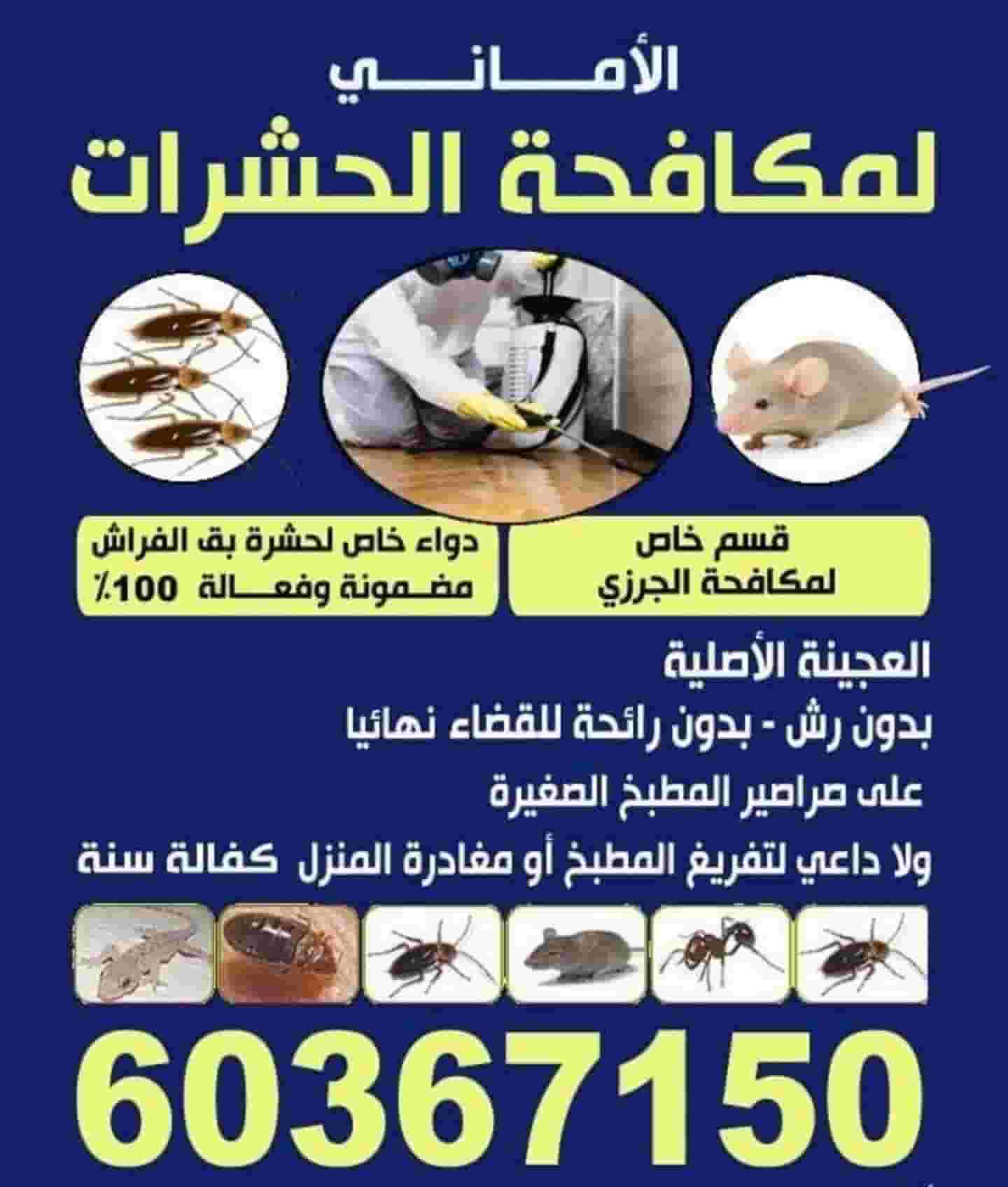 مكافحة حشرات