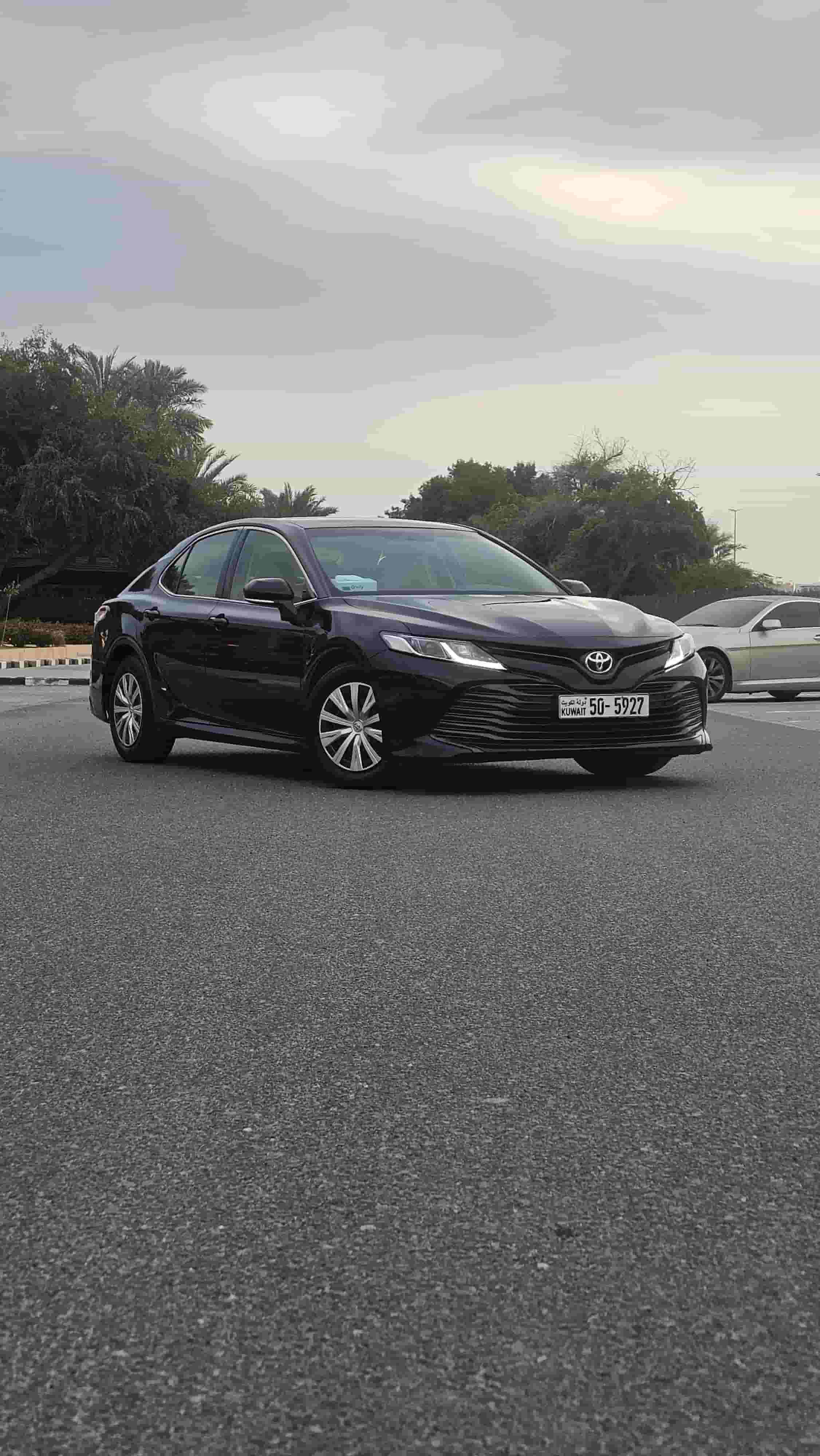 كامري لي 2018