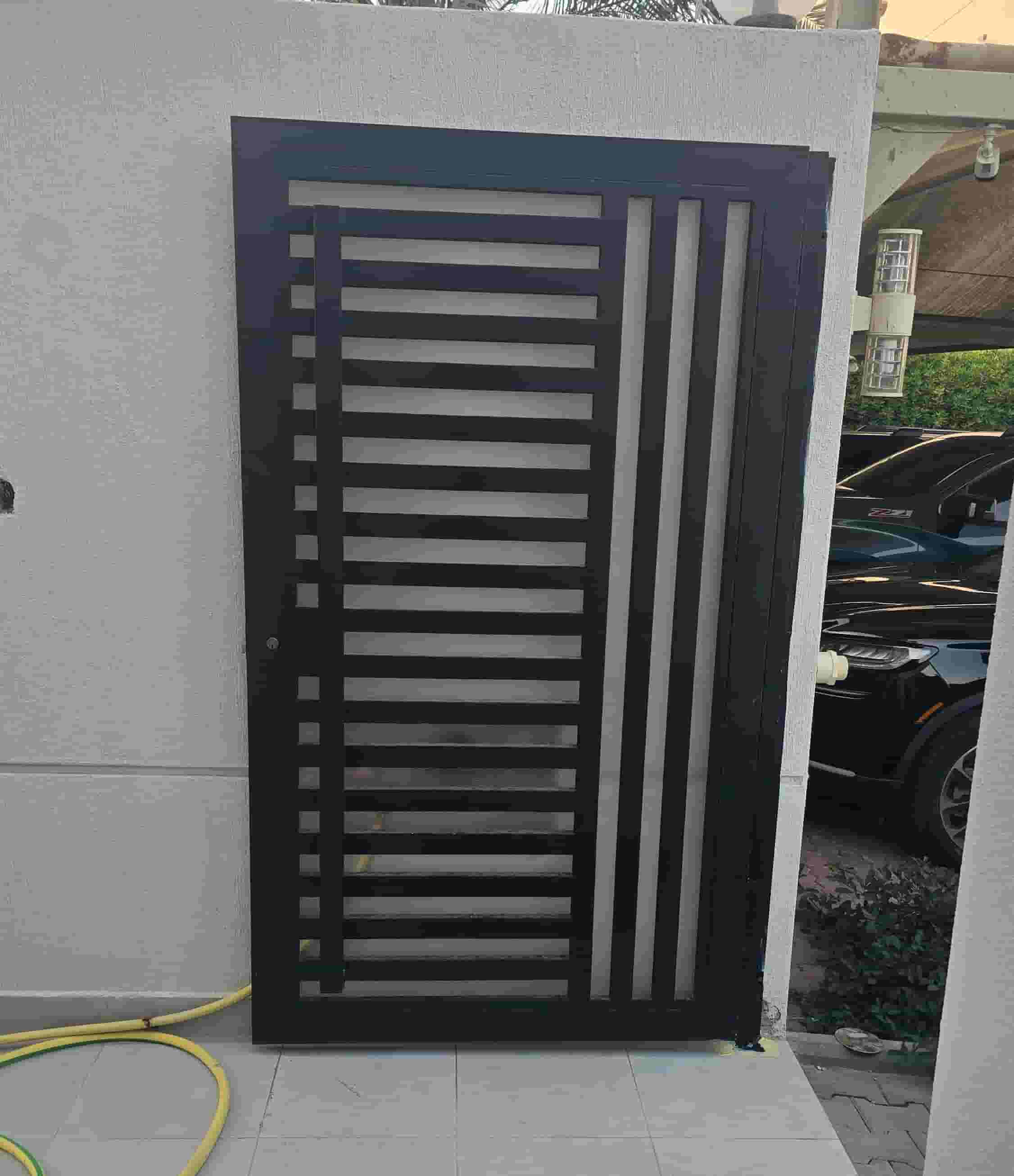 Professional paint technician