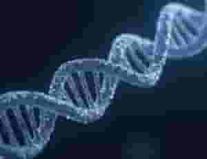 دكتور جامعي خبرة طويله بالتدريس تخصص بيولوجي 