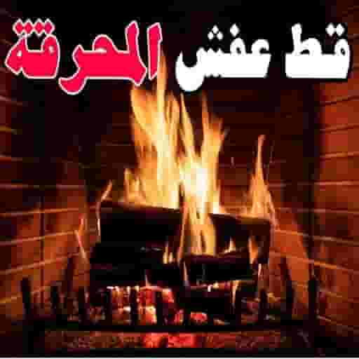 تنظيف البيت 