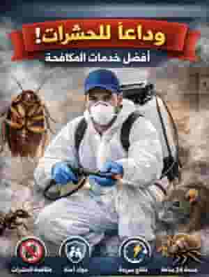وداعاً للحشرات مع أفضل خدمات المكافحة