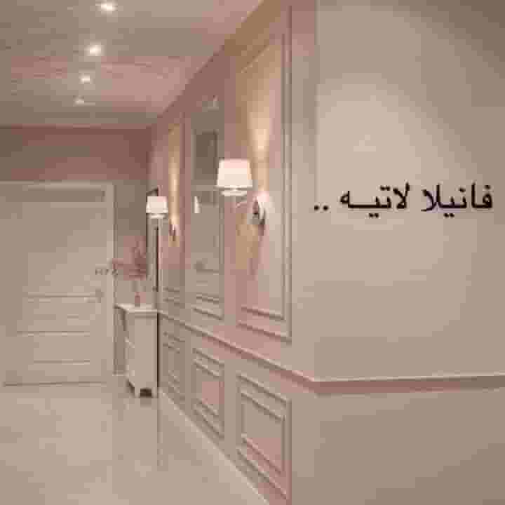 جميع اعمال الاصباغ والديكورات الحديثه