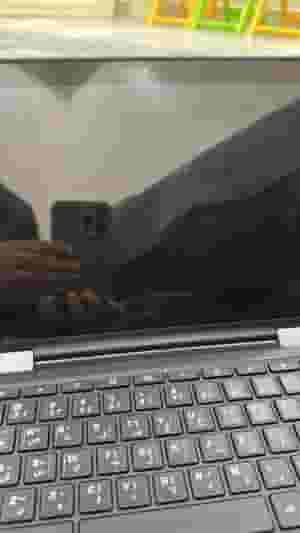 Lenovo Model 300E laptop  
