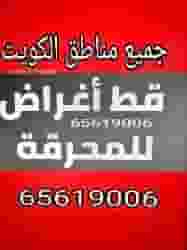 نقل اغراض خيام