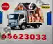 نقل خيام