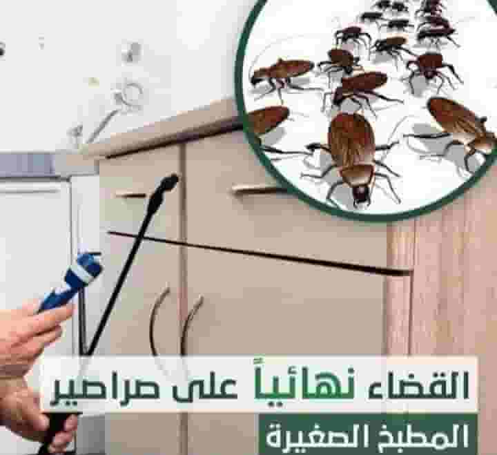 مكافحة جميع الحشرات والقوارض جميع مناطق الكويت