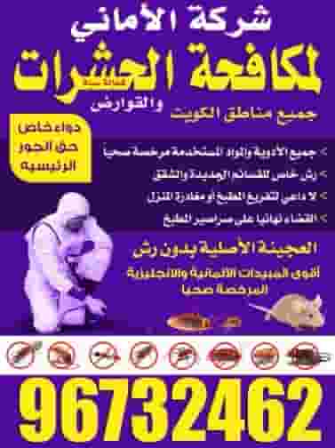 شركة الأماني لمكافحة الحشرات