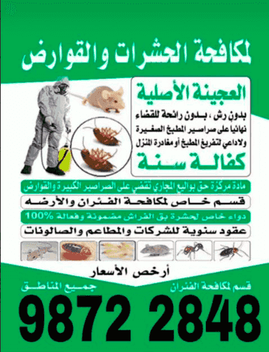 مكافحة الحشرات والقوارض