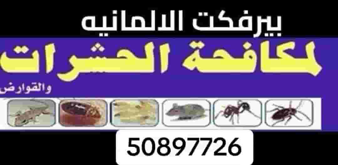 Perfect German Pest and Rodent Control
