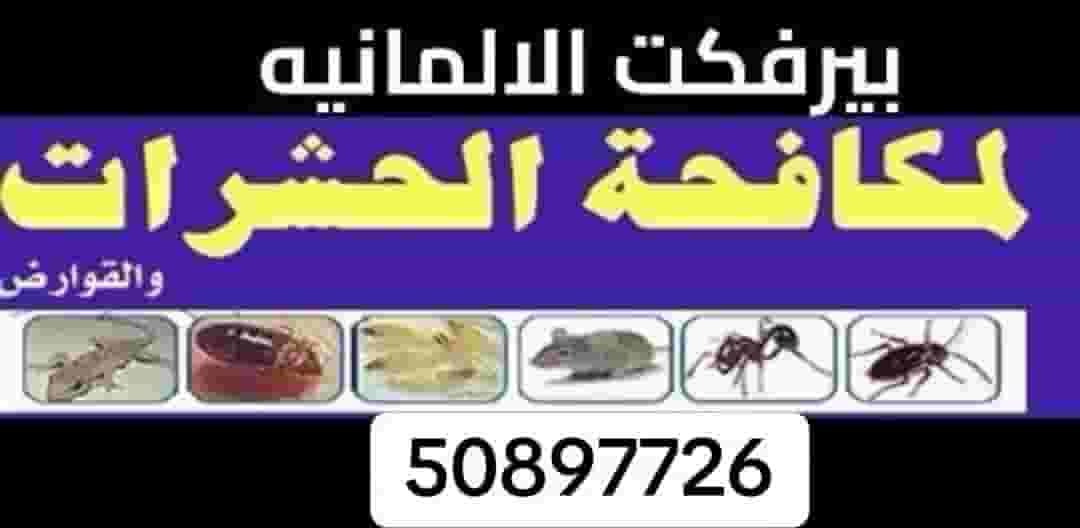 Perfect German Pest and Rodent Control