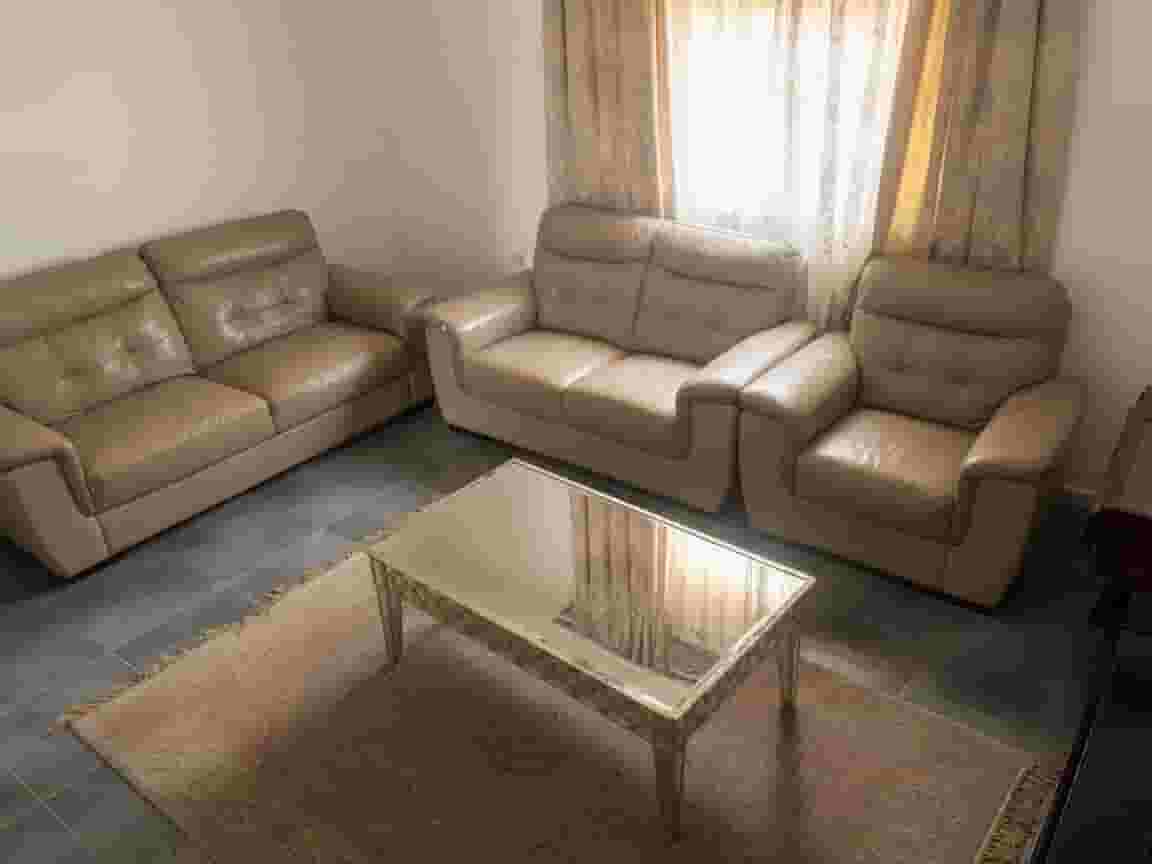 Leather Couches from home center