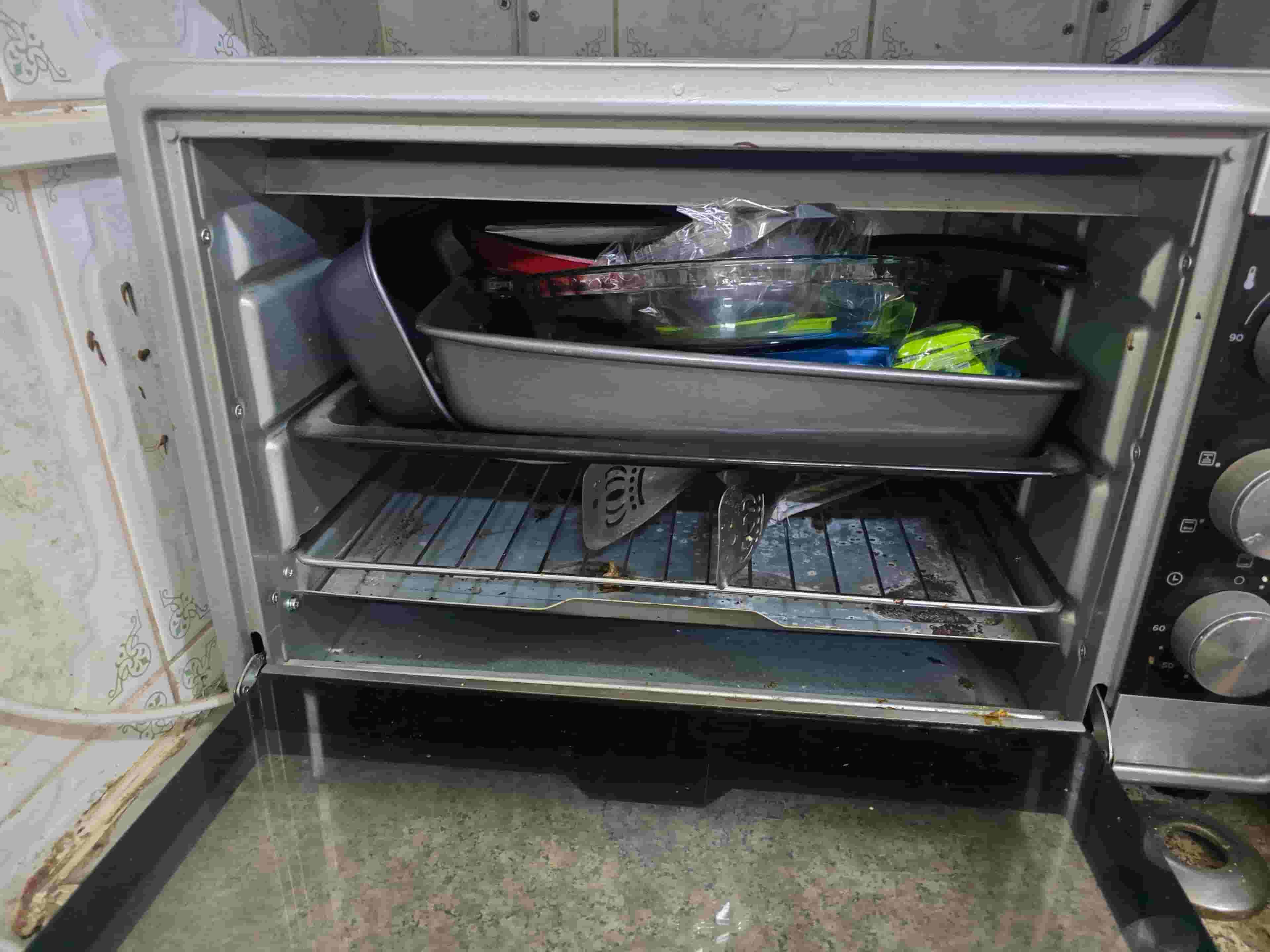 Electric Oven & Juicer
