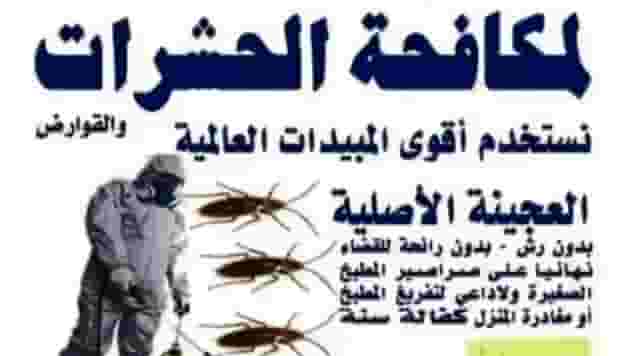 Pest control in all areas of Kuwait.