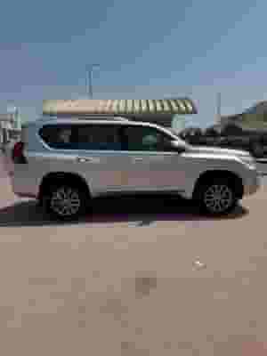 Bardot 2020 TXL