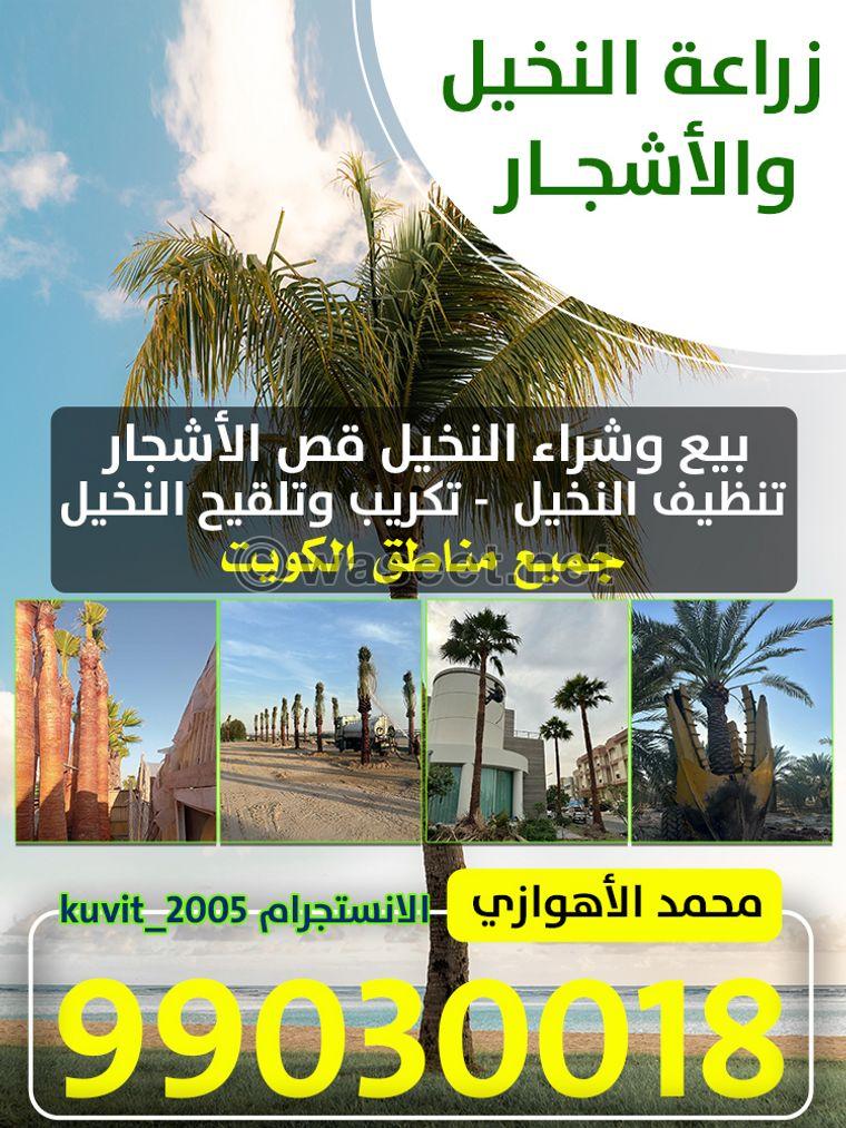 Palm and tree cultivation	 0