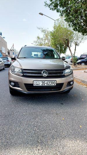 Volkswagen Tiguan 2013 