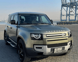 Land Rover Defender 2020 V4 for sale