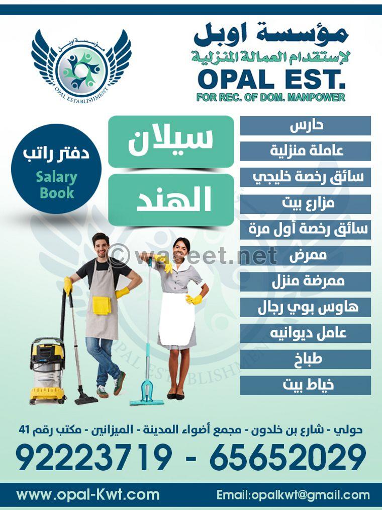 Opel Foundation for Domestic Workers 0