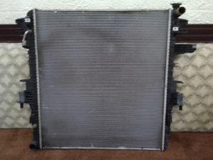 Original platinum radiator for sale 