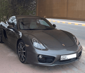  Porsche Cayman 2014 