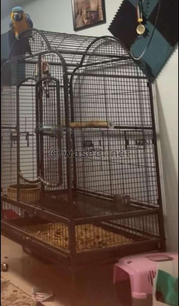 For sale a cage for birds 0