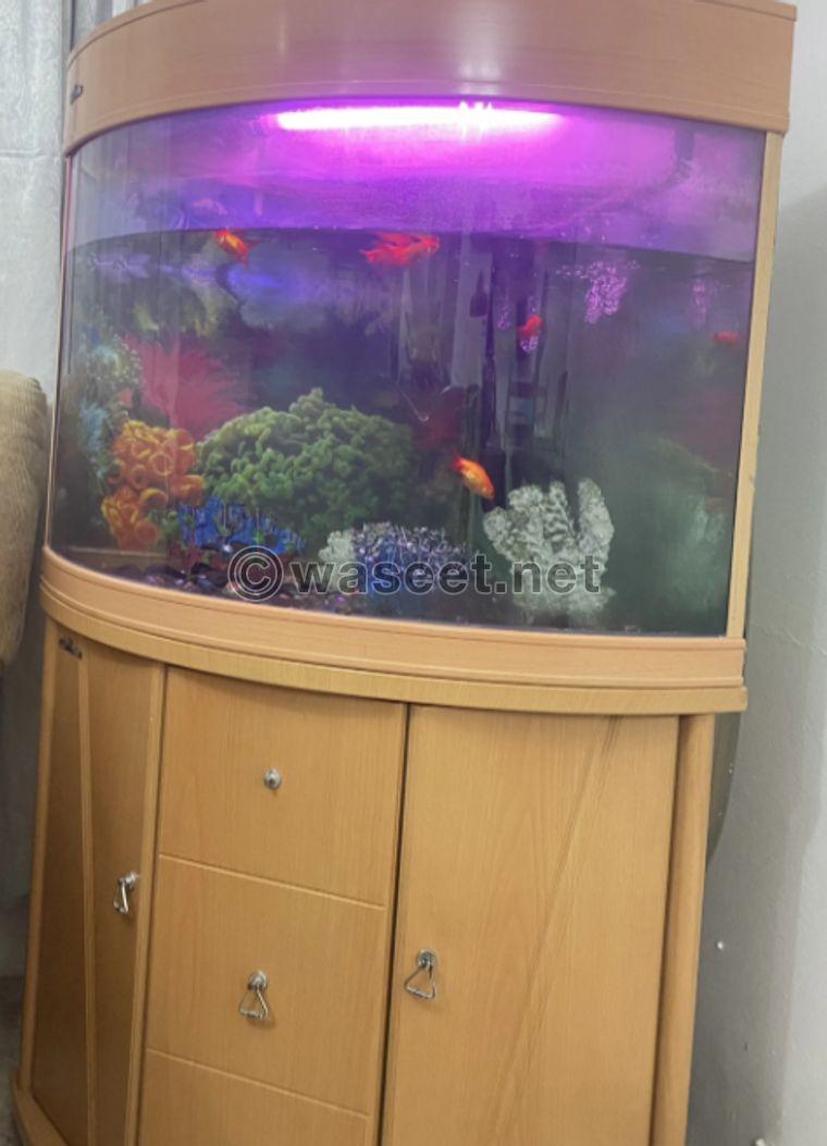 Fish tank for sale 0