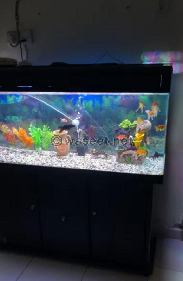  A very good condition fish tank for sale 0