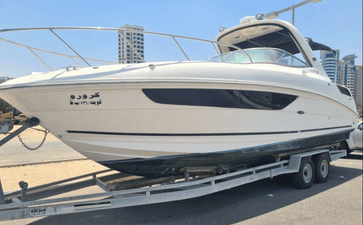 Sea Ray yacht for sale 